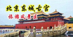 大黑鸡操美女KooK中国北京-东城古宫旅游风景区